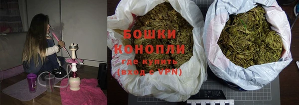 ECSTASY Дмитриев
