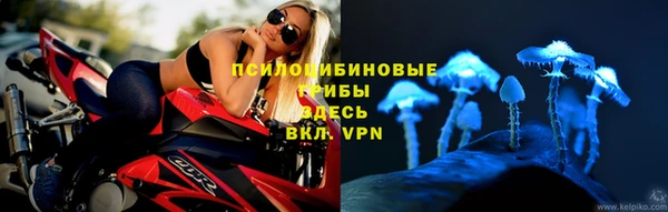 a pvp Дмитров