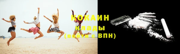 ECSTASY Дмитриев