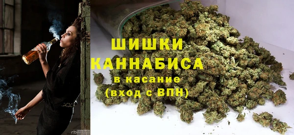 ECSTASY Дмитриев
