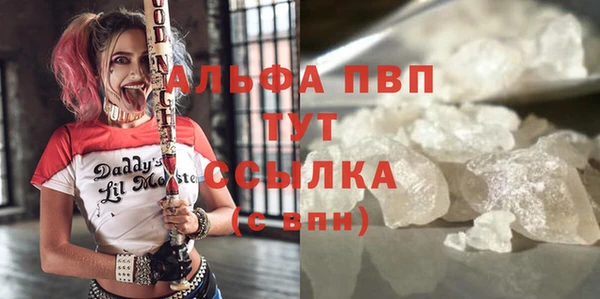 ECSTASY Дмитриев