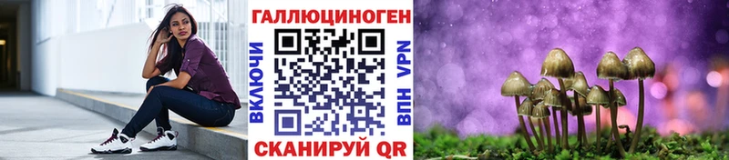 Галлюциногенные грибы Psilocybine cubensis  Купить где  Красновишерск 
